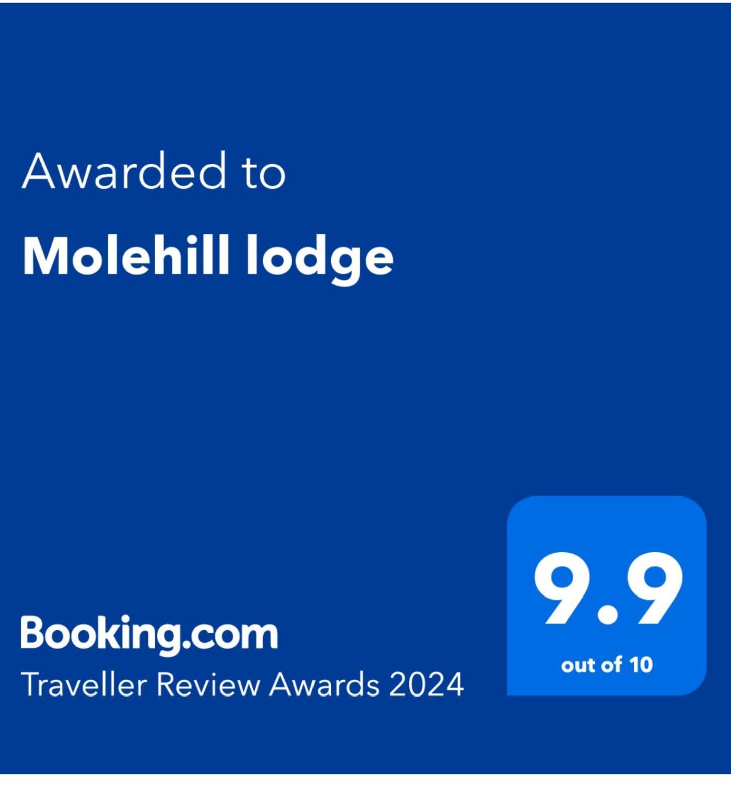 Molehill Lodge Σουόνσι Εξωτερικό φωτογραφία
